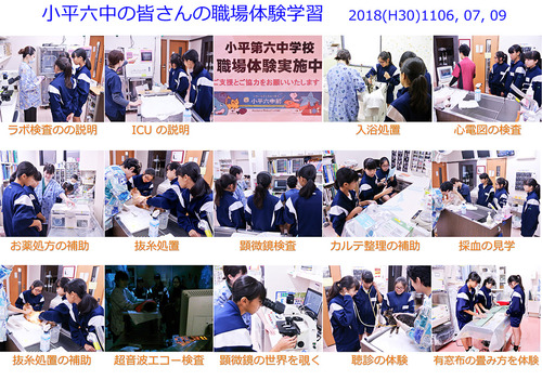 小平六中のみなさんの職場体験学習 2018(H30)1106, 07, 09