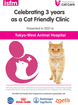 TWAH  Celebrating 3 years as a Cat Friendly Clinic