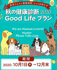 ���Ĥ���ˤ��������顡���η�� Good Life �ץ��