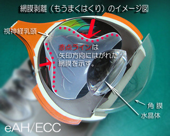 ������Υ�ʤ⤦�ޤ��Ϥ���ˤΥ��᡼����