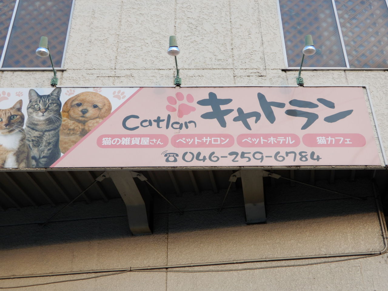 キャトラン クッシーの日記 キャトラン クッシーの日記