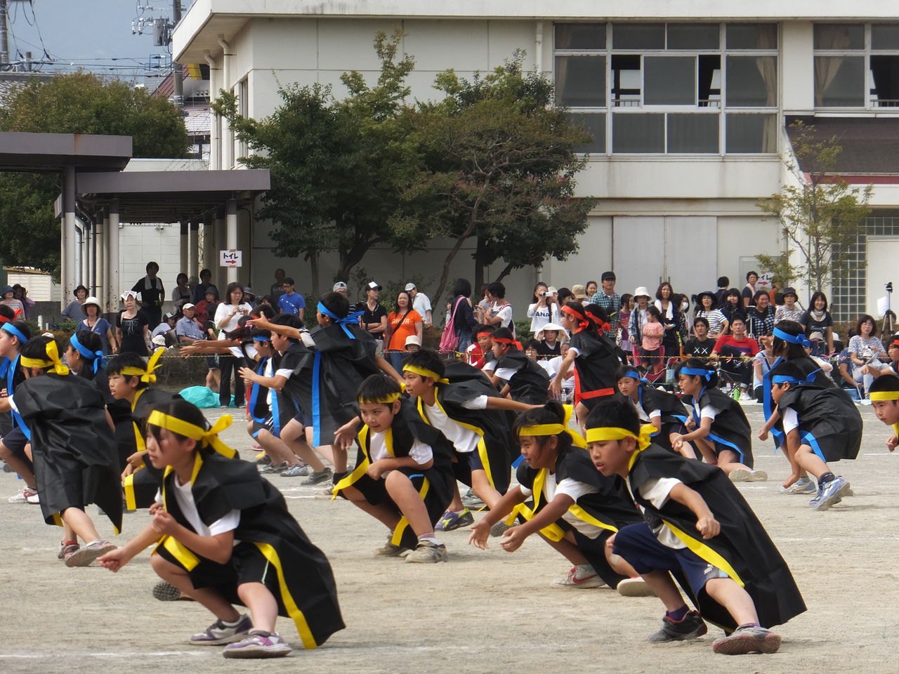 秋の大運動会 クッシーの日記 秋の大運動会 クッシーの日記