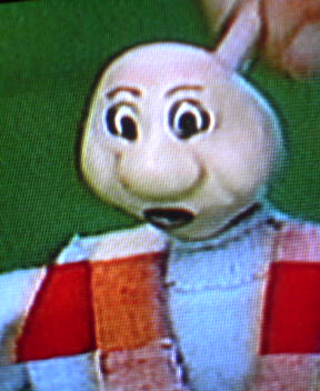 ポペティ Aiaiの毎日