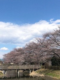 IMG_3331 (1)