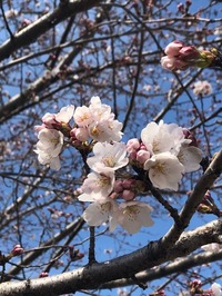 IMG_3326 (1)