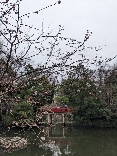 PXL_20230114_022555565