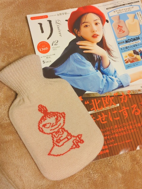 SNOW_20231101_202631_357