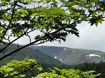 IMG_6876