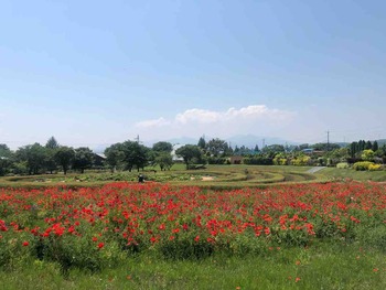 IMG_1379