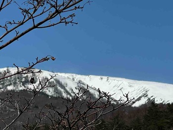 IMG_5858