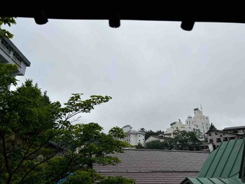 IMG_7548