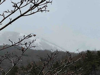 IMG_5956