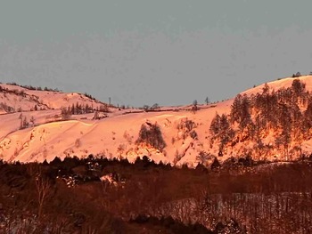 IMG_4364