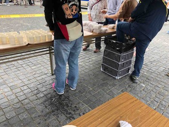 IMG_4139
