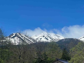 IMG_1683