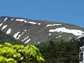IMG_6650