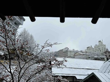 IMG_5479