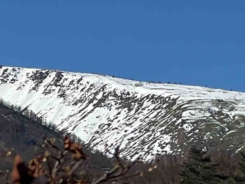 IMG_3632