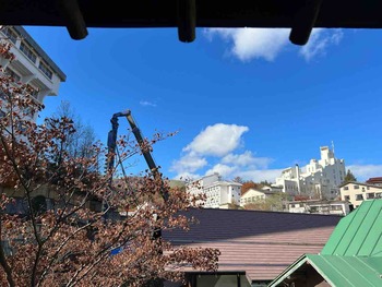 IMG_8900