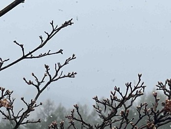IMG_1283