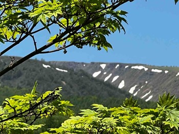 IMG_6709