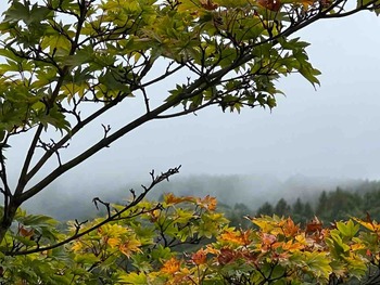 IMG_8432