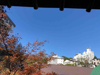 IMG_4529