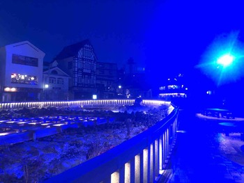 IMG_6595