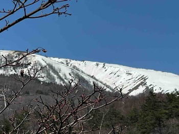 IMG_5865