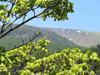 IMG_1961