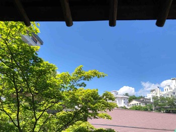 IMG_7461