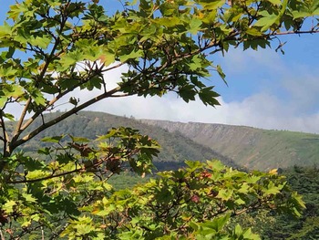 IMG_2831