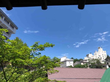 IMG_1782