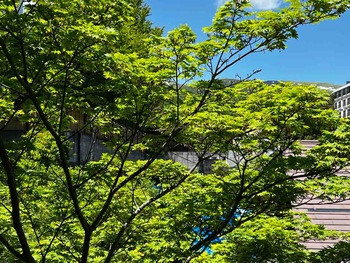 IMG_6797