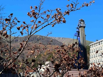 IMG_8920