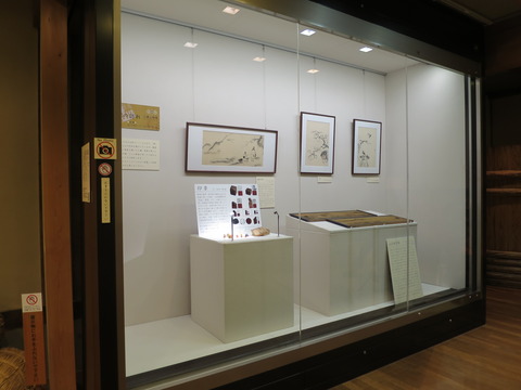 秋展示