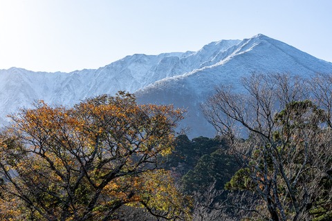 _h2a2345.jpg__1040x693_q95_subsampling-2