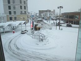 IMG_0356