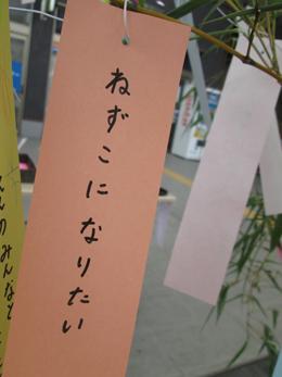 Y772Zxzh