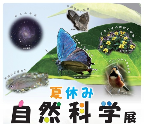 R7sizenkagakuten