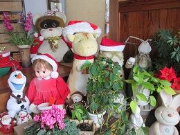 IMG_0258