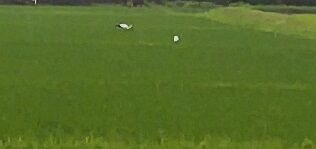 .trashed-1722118026-240628070627602