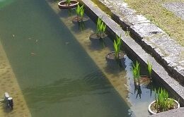IMG_20230413_095649