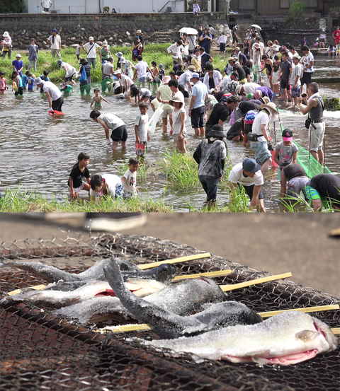 sakanatsukami