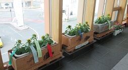 IMG_0572