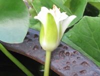 IMG_0670