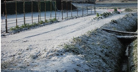 IMG_0177