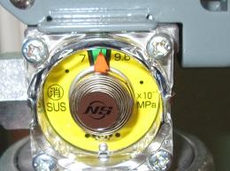RseaF1E9