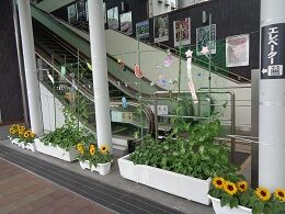 DSC01954
