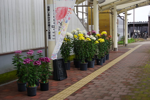 DSC03936